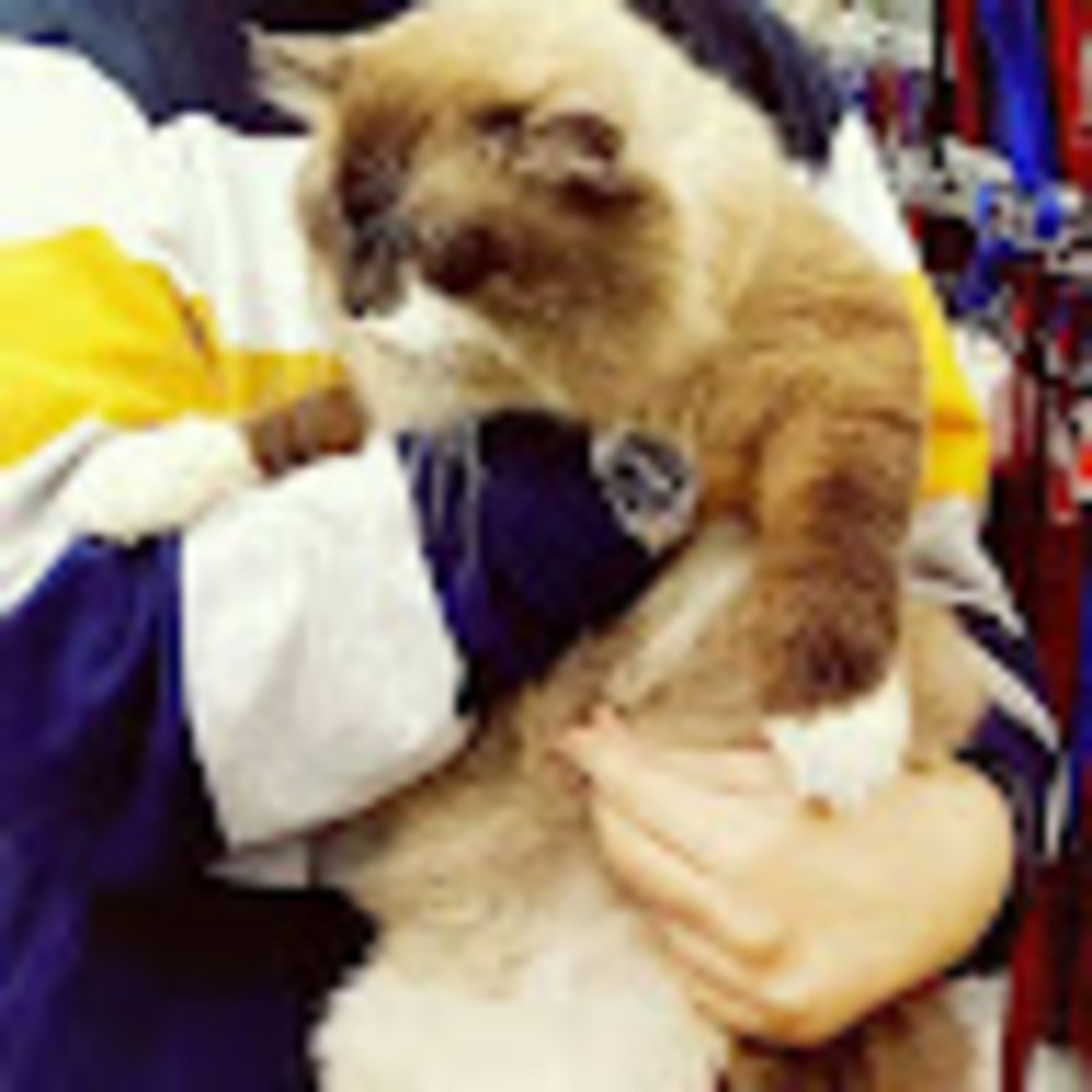 Meet your Posher, Arshita